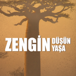 Zengin Düşün Zengin Yaşa - Arif Arslaner